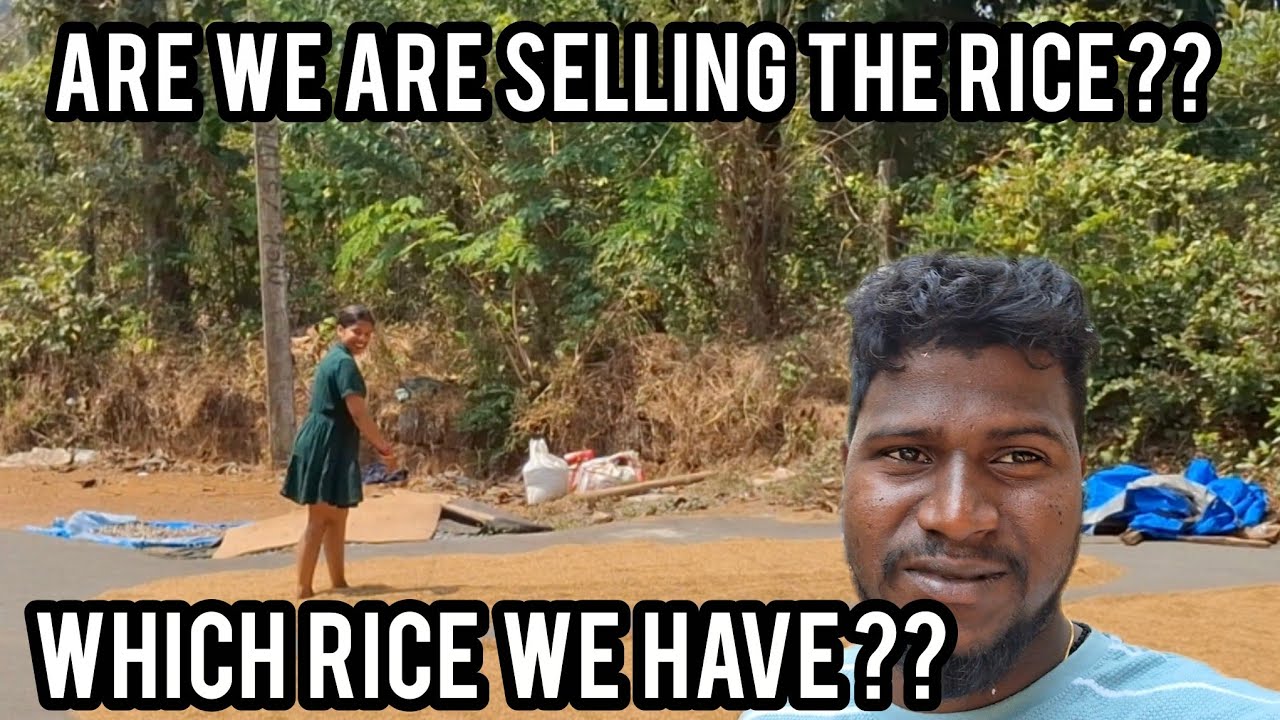 Are we are selling the rice ??  / new konkani vlog #goavlog #konkanivlog #movin #konkani #foryou 