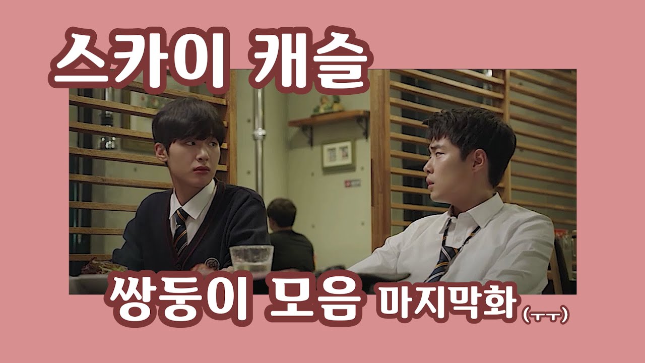 드라마 추천  / 스카이 캐슬 쌍둥이 차서준 차기준 모음 20화 -2 (재업