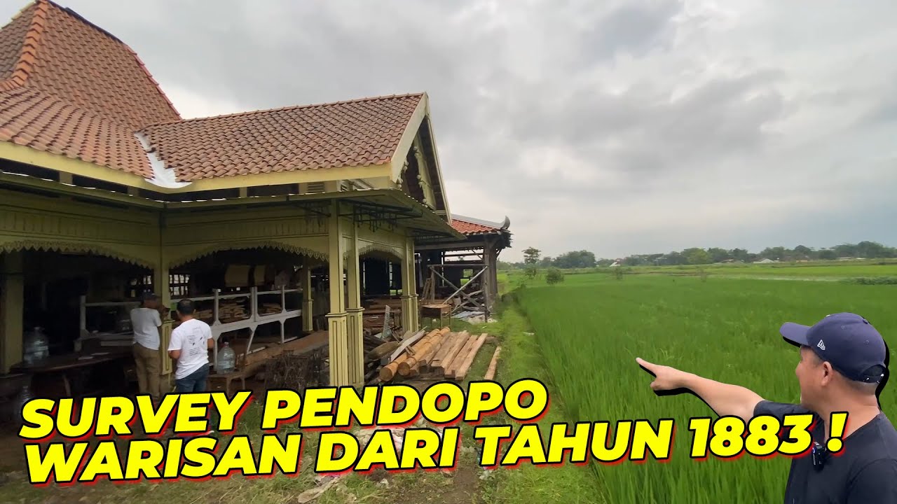 #3 PENDOPO | PENDOPO 1883 DEPAN MATA !! ANGKUT GAK YAA??