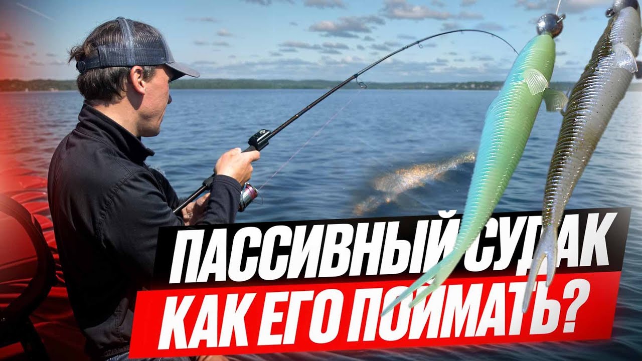 Пассивный судак - как его поднять со дна? Тестируем FRAPP PLACOID