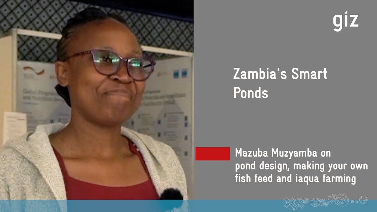 Zambia's Smart Ponds