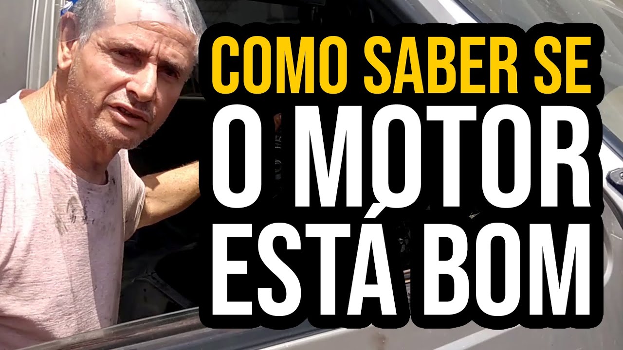 Como saber se o motor da Besta está bom