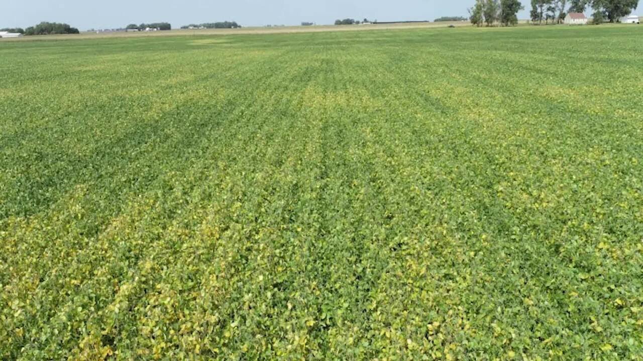 Record Iowa Land Sale