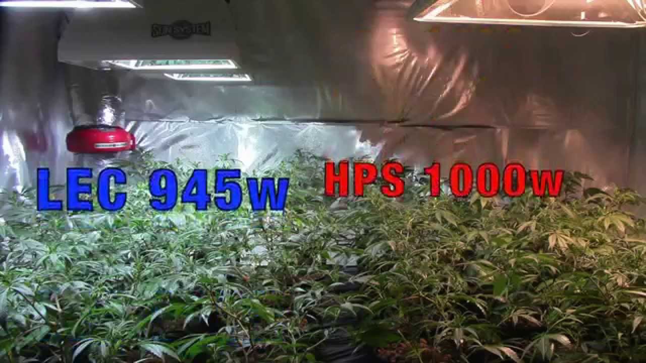 LEC -vs- HPS ep 3 side by side 3- 315w LEC vs 1- 1000w HPS on mover with TGA 9lb Hammer