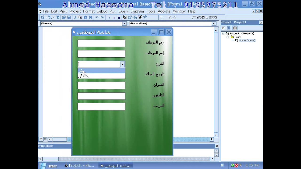 02شرح فيجوال بيسك 6 شاشة البرنامج