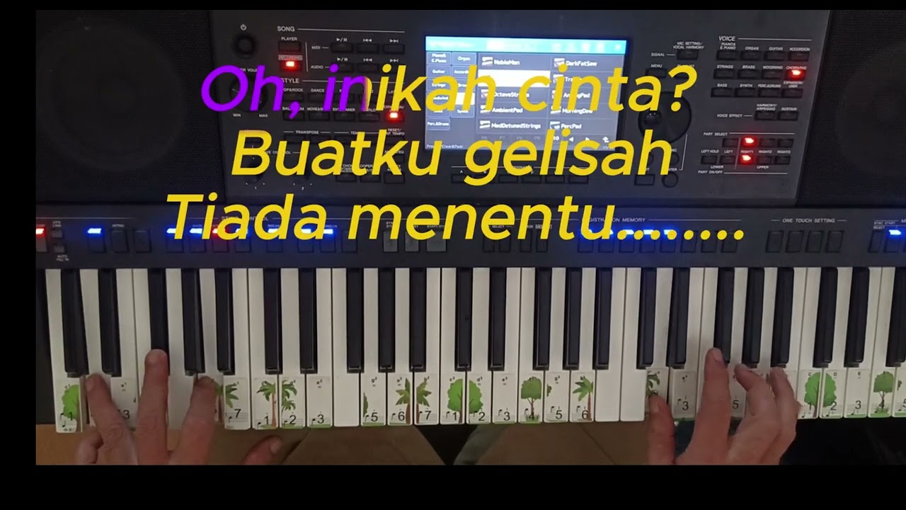 BIRUNYA RINDUKU (Ciptaan Obie Messakh)
