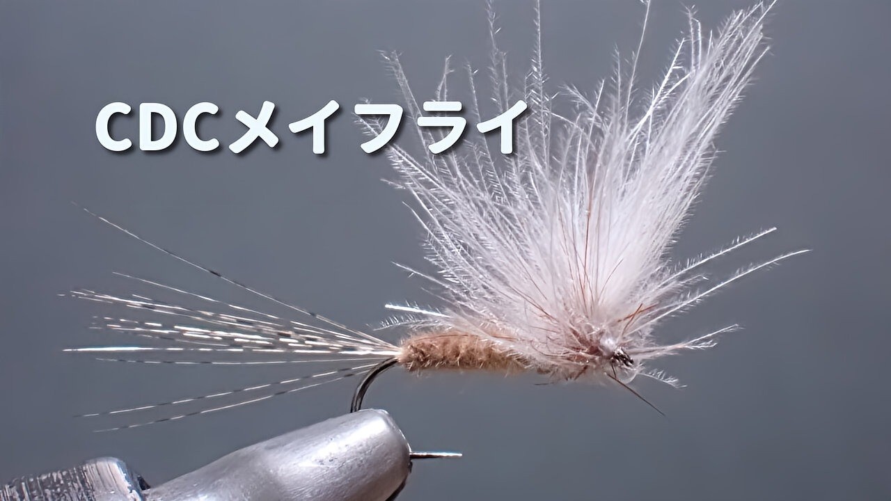 CDCメイフライ　春から使える?１２番