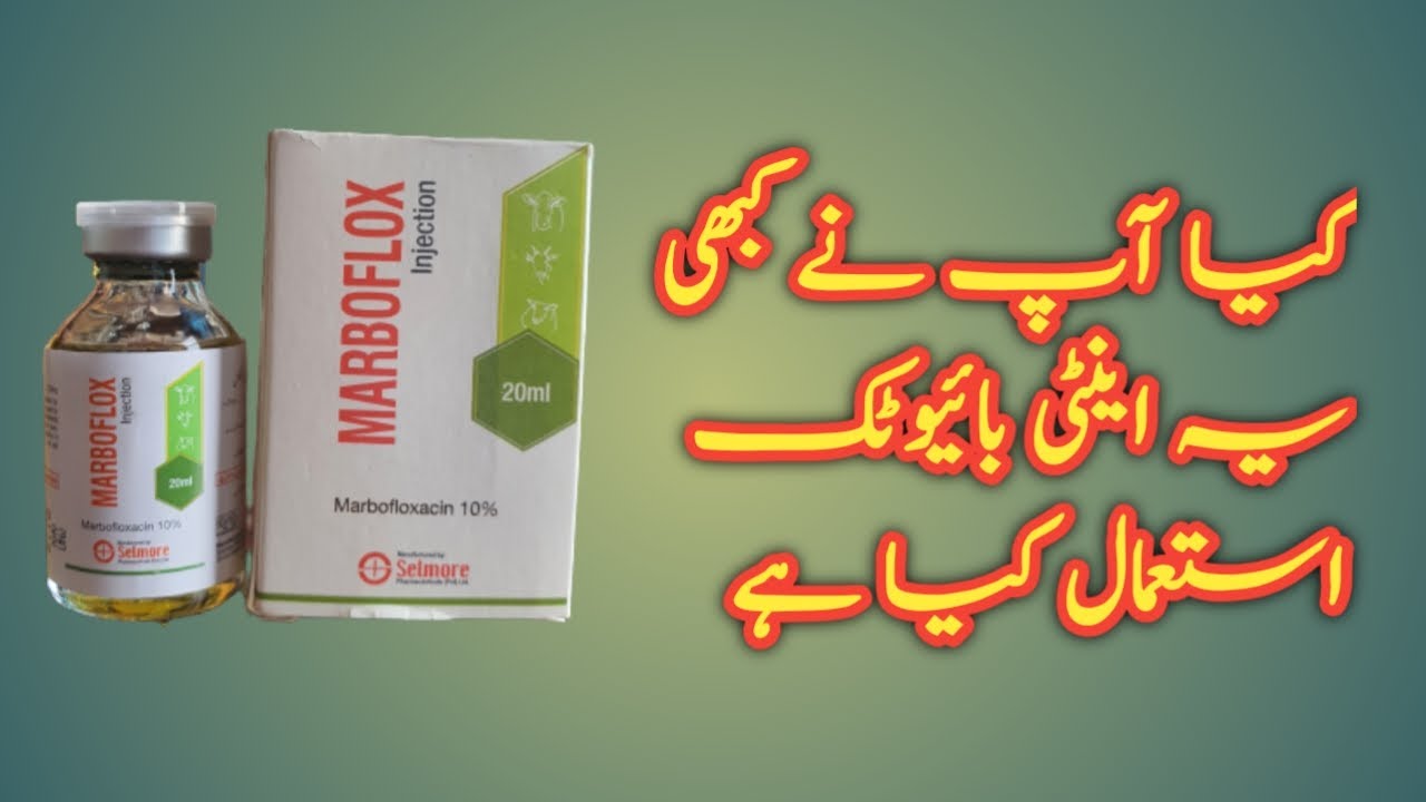 Marbofloxacin Injection Use in Animals||Konsi Bimari mein lagaye veterinary antibiotic urdu hindi
