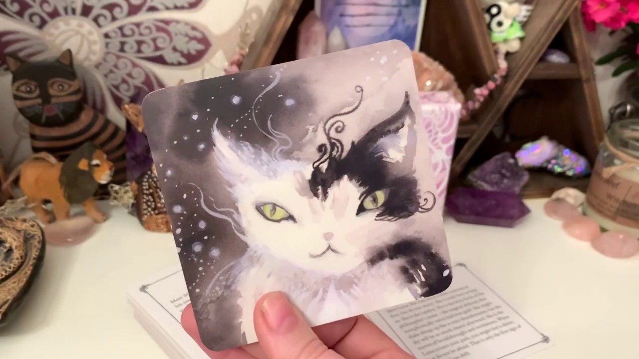 Spirit Cats Deck // Review