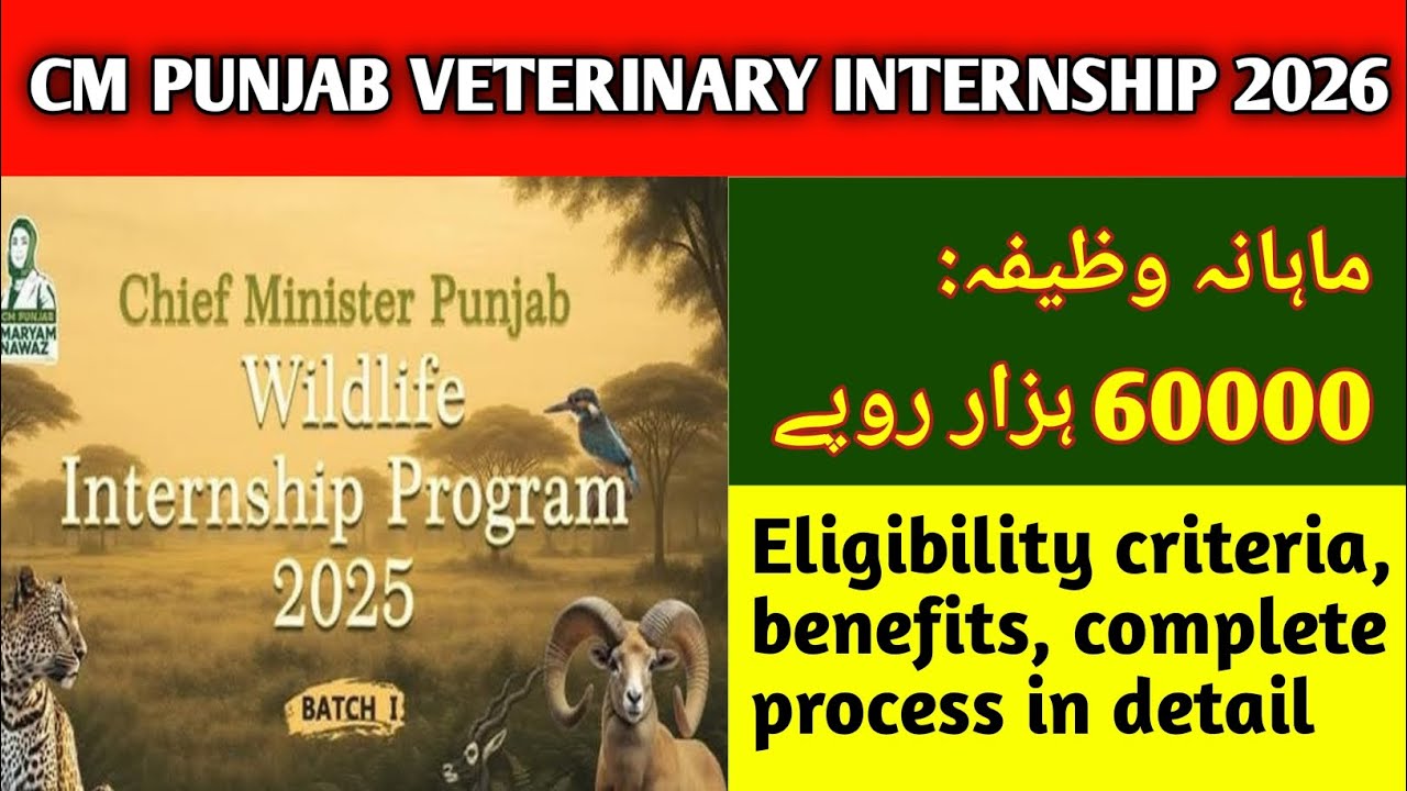 CM Punjab Veterinary Internship 2026 | 60,000 Stipend! Eligibility & How to Apply