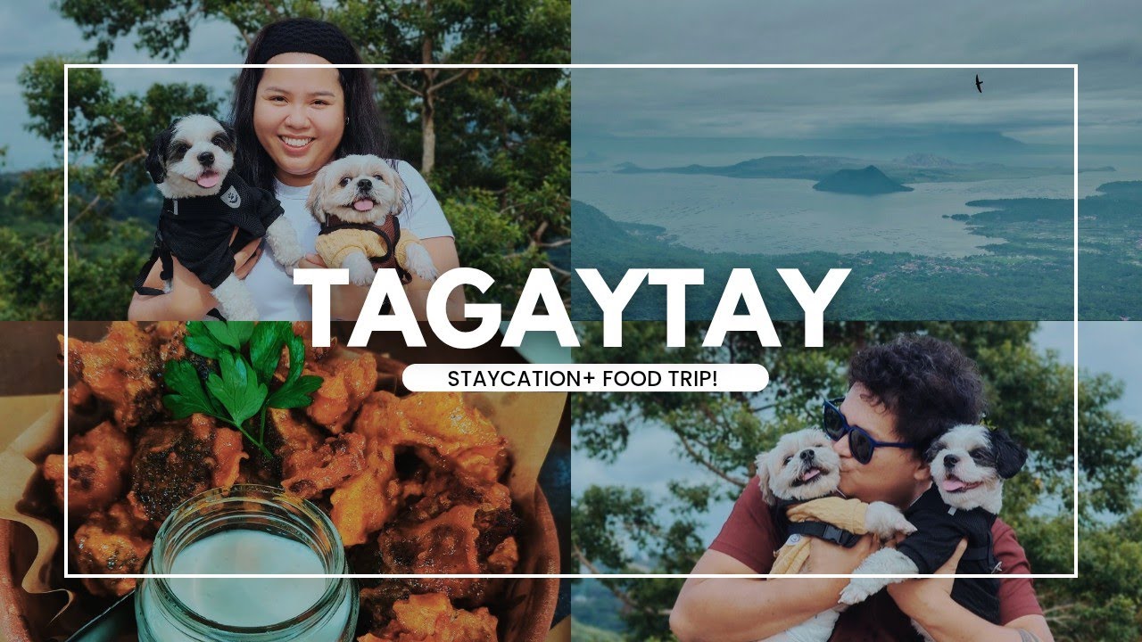 Tagaytay 🇵🇭 Junio Crib in Pine Suites, Food Trip, and Cute Moments with our dogs! 