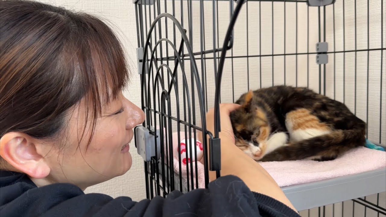 今日は猫の前で少しナイーブな話をします