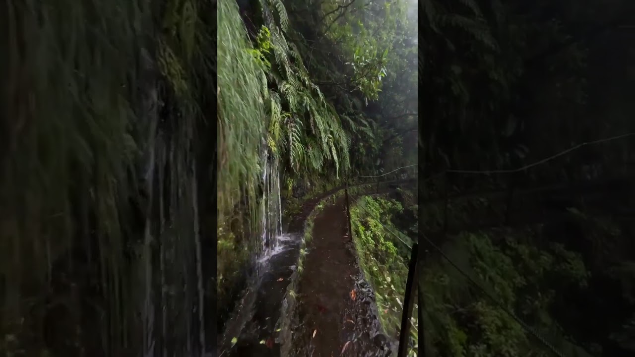 4K Free Stock Footages | #freevideosforyoutube  | video library |#freevideo#freevideosforyoutube