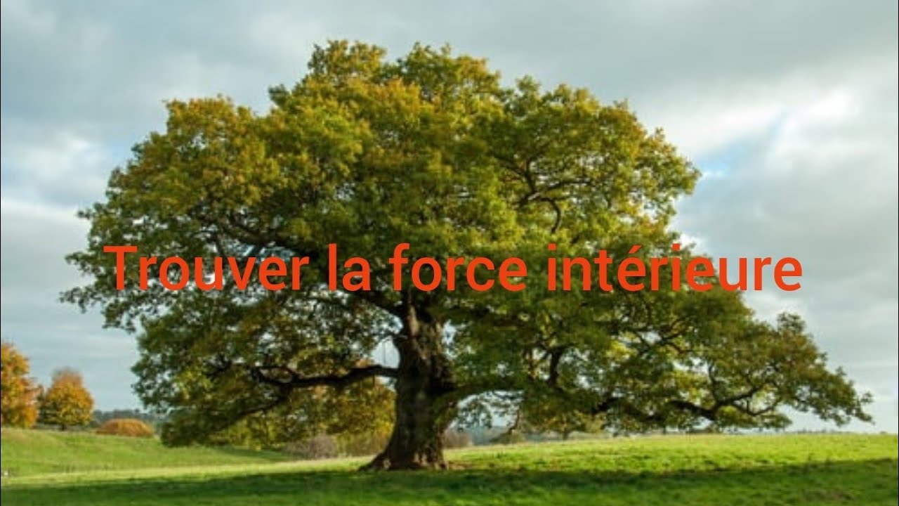 Trouver la force intérieure 