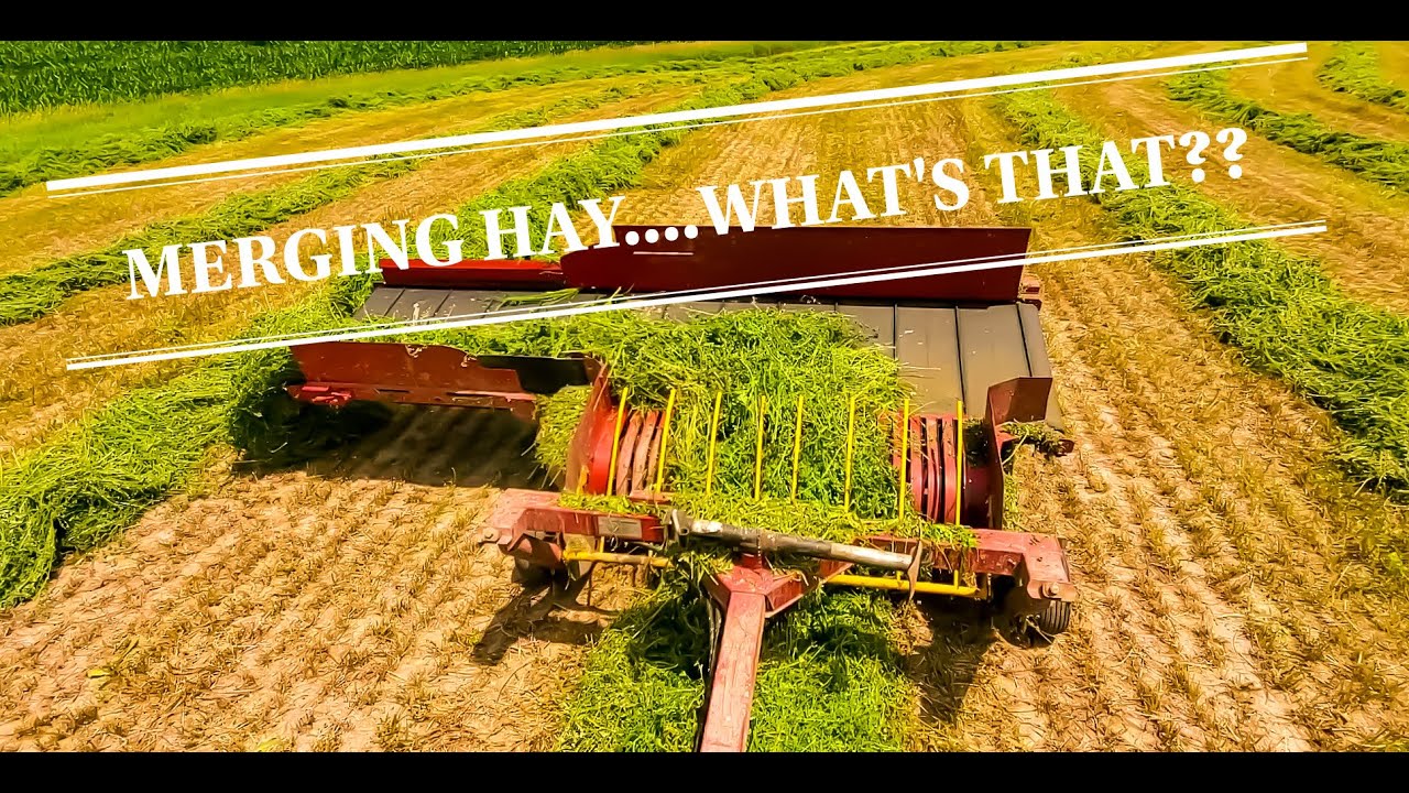 Merging Hay: Step 2 in the Making Hay on the Farm!