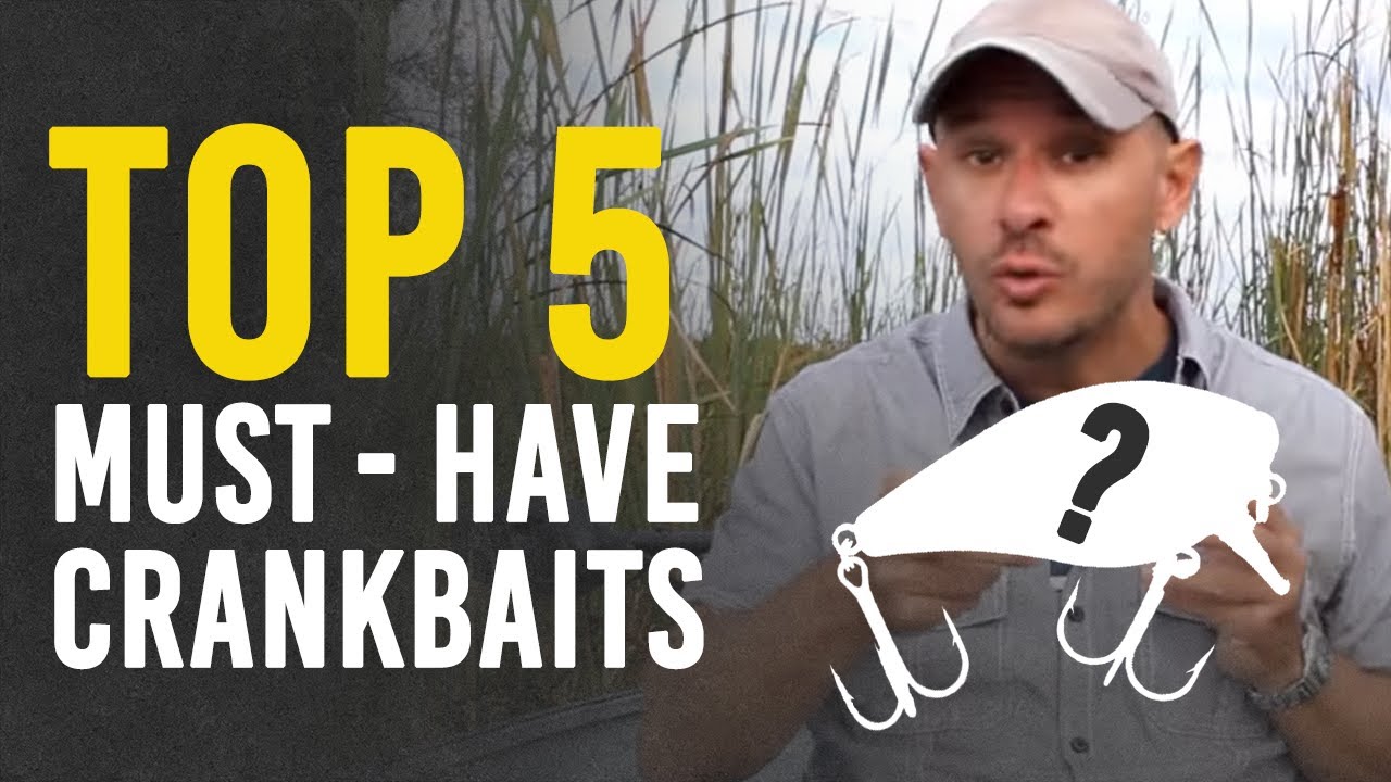 5 Crankbaits You Should Stock for Bass