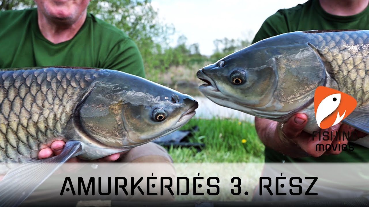 Amurkérdés 3. rész