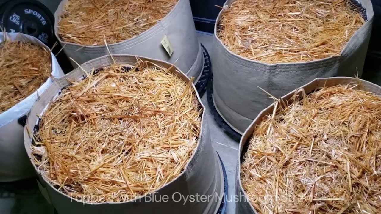 Build-a-Soil + Clackamas Coots Take n Bake Soil Mixing