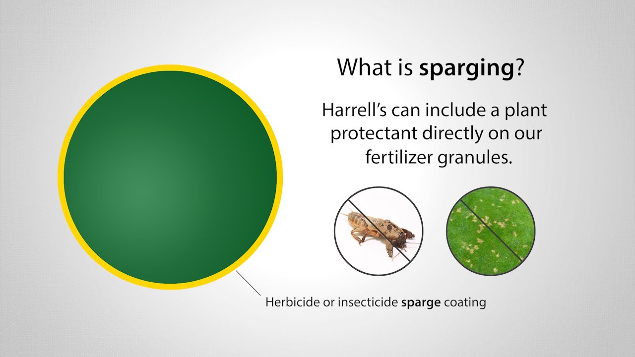 What Is Sparging?