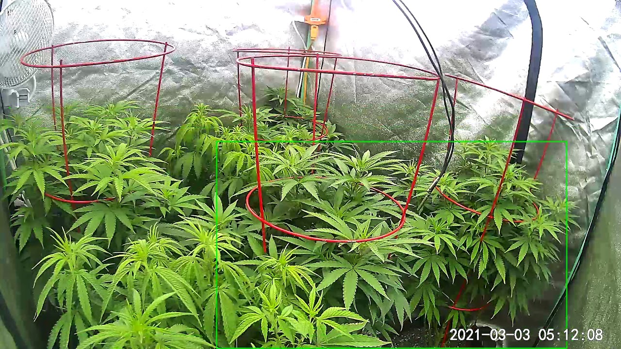 Growers Choice ROI-720