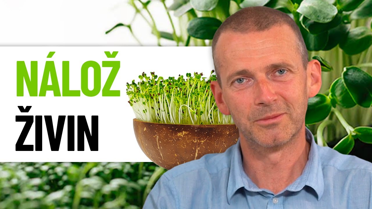 Proč byste MICROGREENS měli zařadit do stravy i vy?