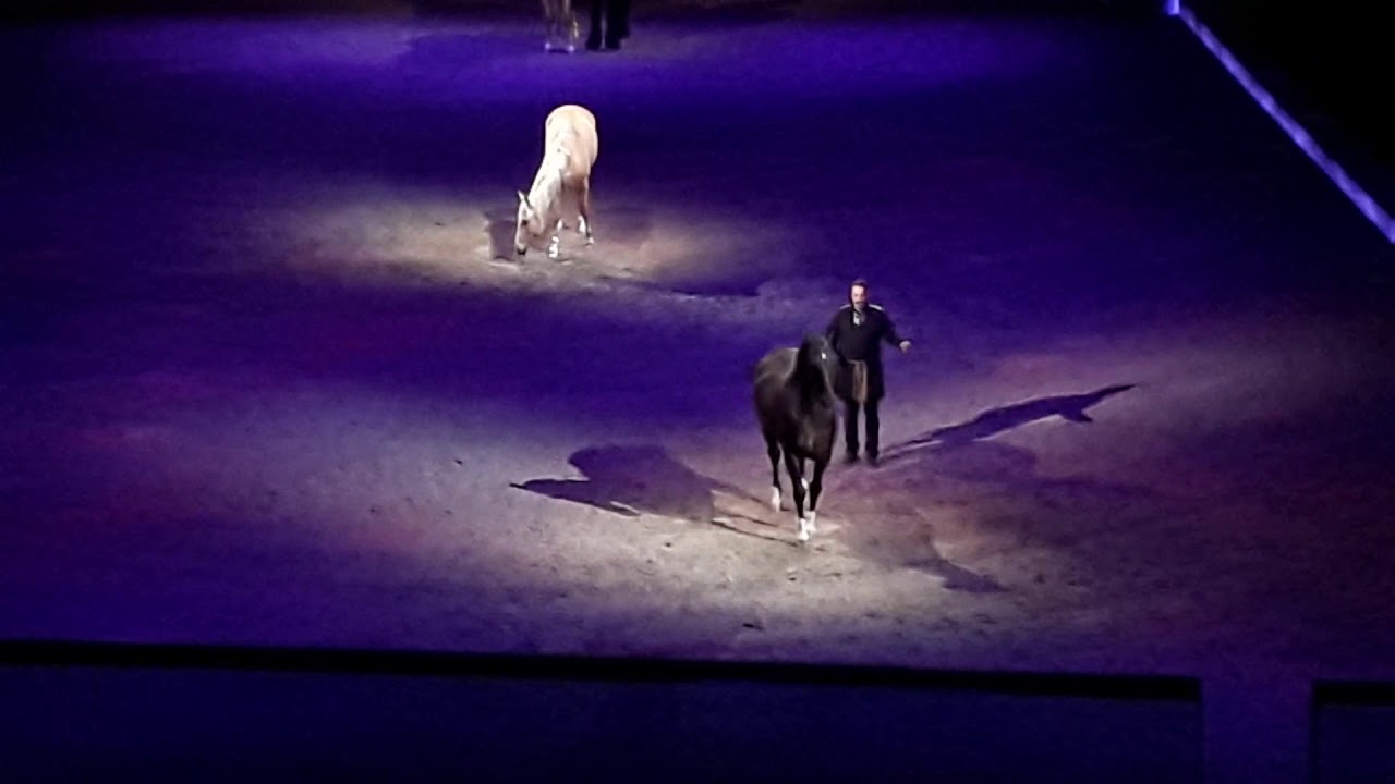 Cavalluna ahoy Rotterdam(2)