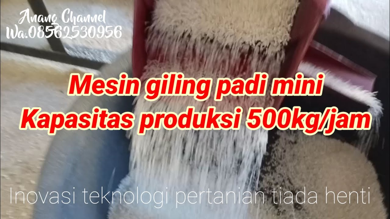Viral Mesin giling padi mini 500kg/jam | mesin giling padi terbaru | petani auto kaya | Sultanandara