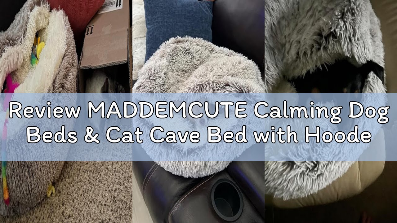 Review MADDEMCUTE Calming Dog Beds & Cat Cave Bed with Hooded Cover,Removable Washable Round Beds fo