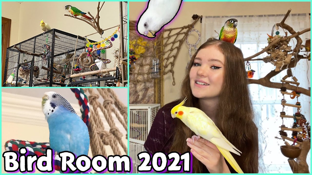 2021 BIRD ROOM TOUR!!
