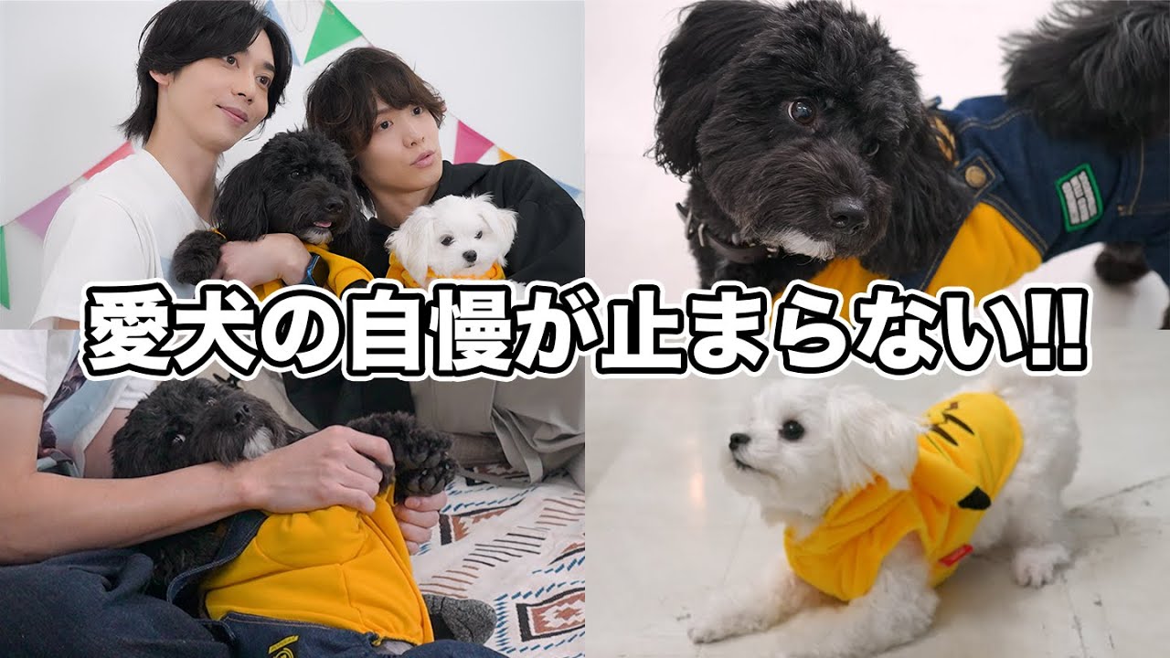 【密着】愛犬の自慢が止まらない!!スマボch夏の特番の裏側に密着!!