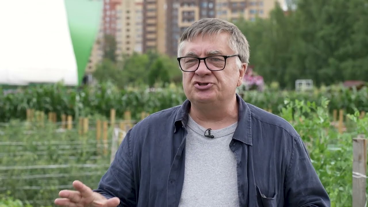 С бобами без обеда не останешься!