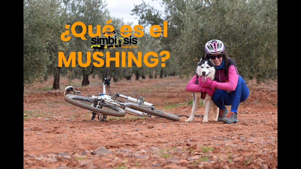 ¿Qué es el MUSHING? - DEPORTE para DISFRUTAR con tu PERRO