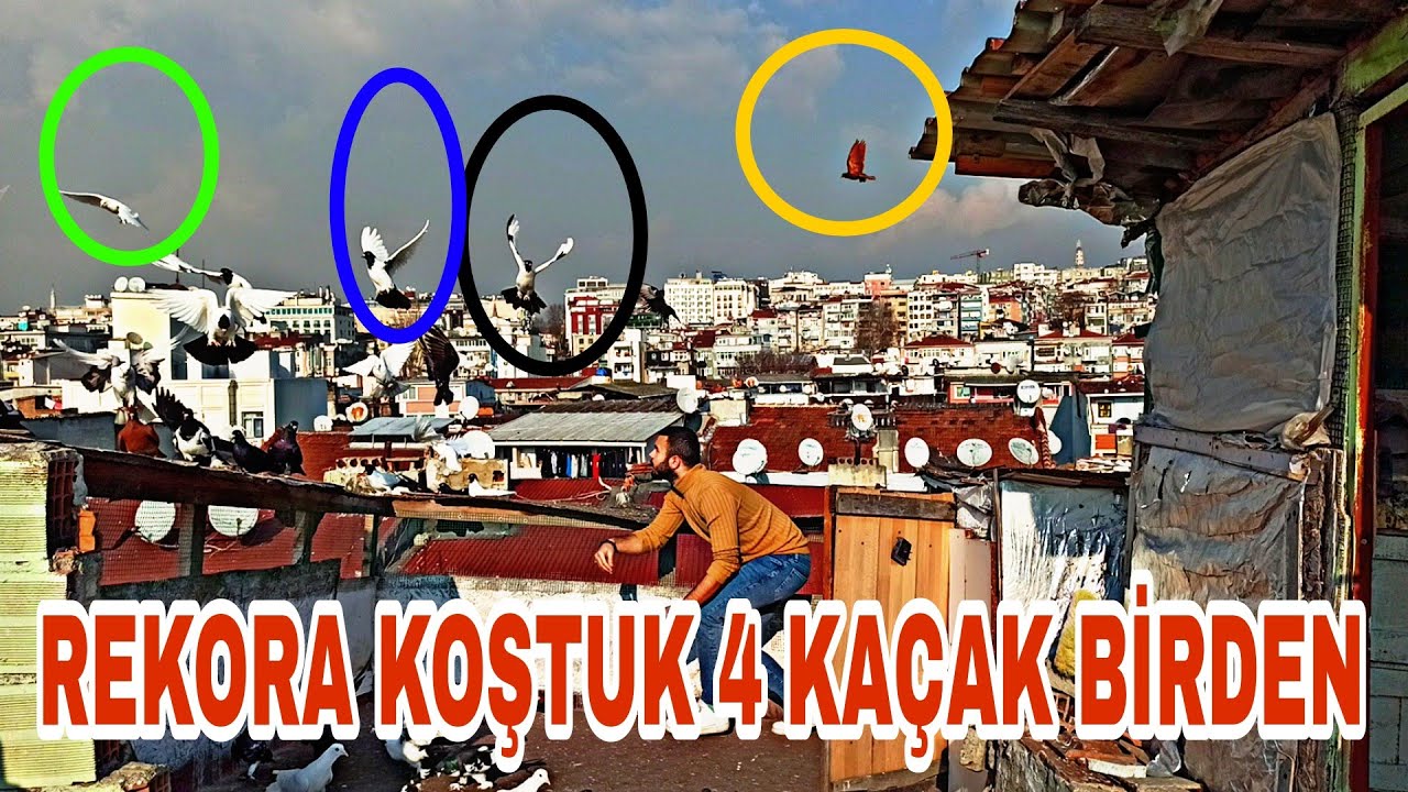 REKORA KOŞTUK 4 KAÇAK BİRDEN ÇEKTİK