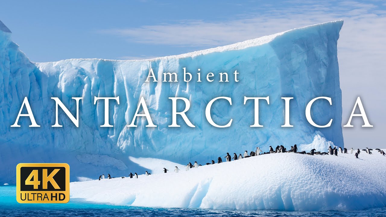 Ambient Antarctica 4K | 2-hour Relaxing Slow Nature Film