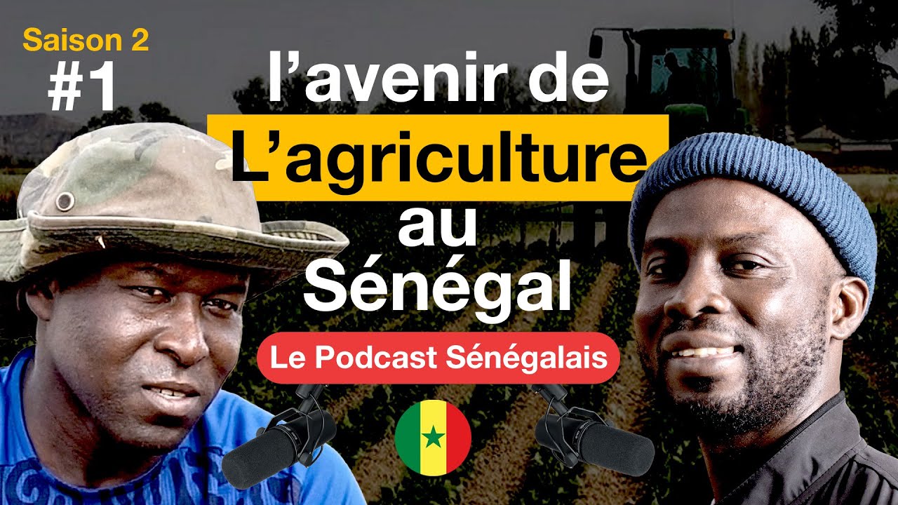 #1Jaar Jaru Bertin Agriculteur,  Comment mettre en place une ferme agricole rentable au Sénégal 🇸🇳?