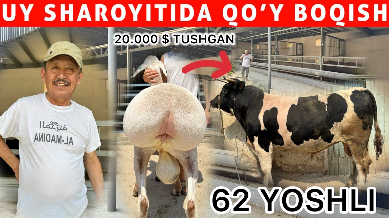 62 YOSHDA HAM TINIM BILMAS – OTAHON NOVOS VA QOYLARDAN FOYDA KO‘RMOKDA!