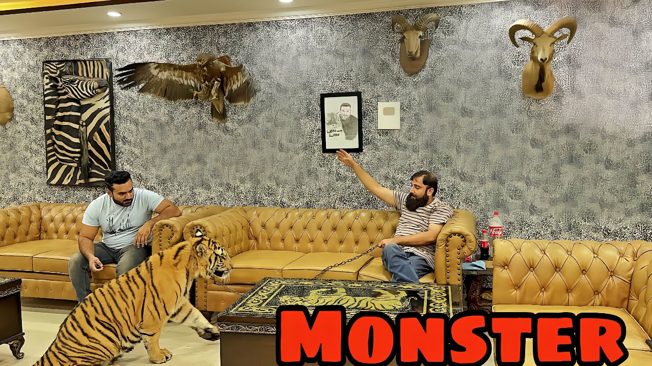 Monster Room May Agya 🐅😱|Junaid Buy New Car 🚘 