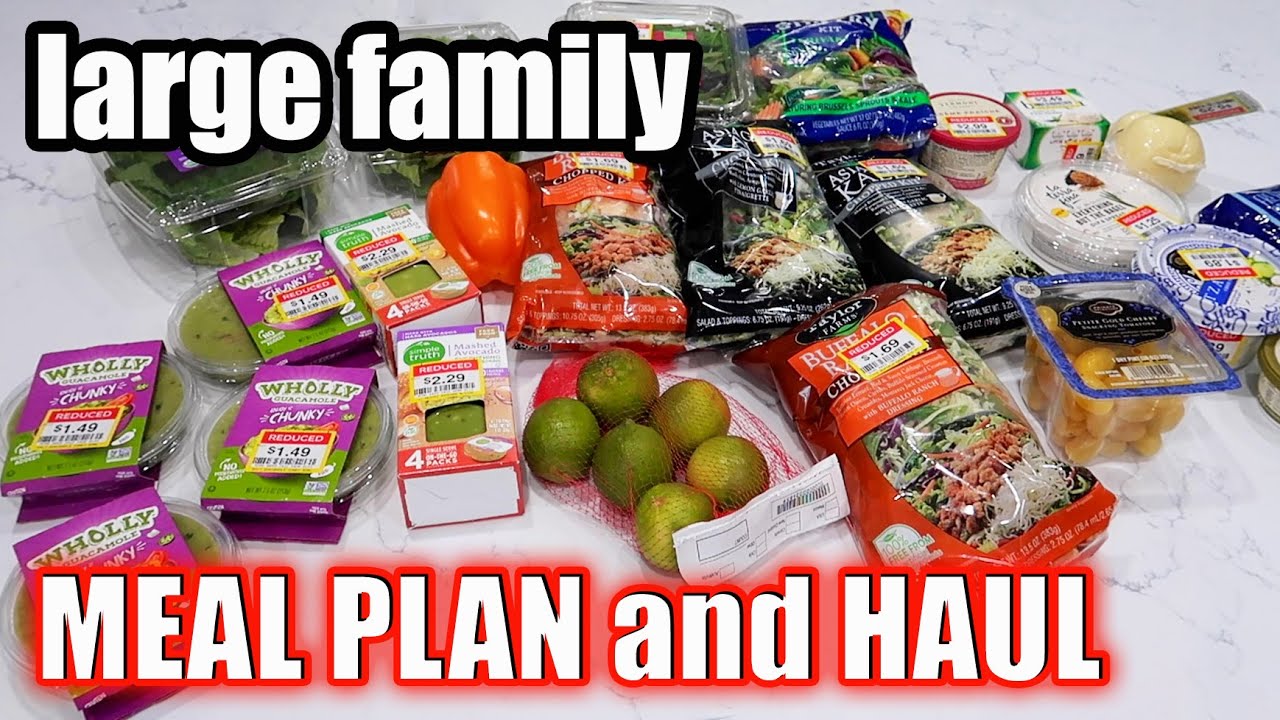 LARGE FAMILY MEAL PLAN AND GROCERY HAUL | Cleaning out the FREEZER!