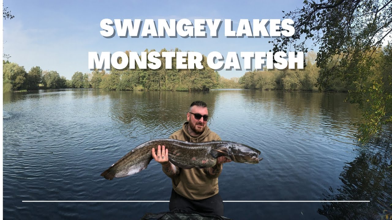 Swangey Lakes Norfolk Catfish & Carp