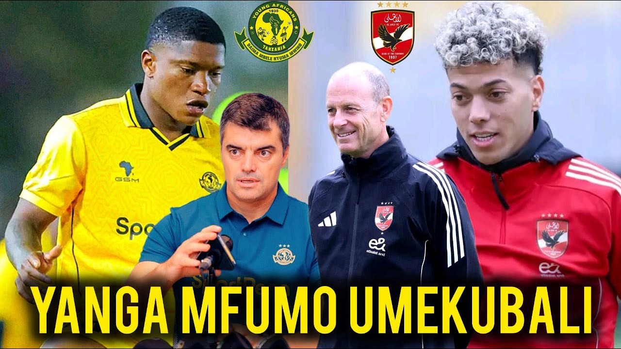 YANGA 