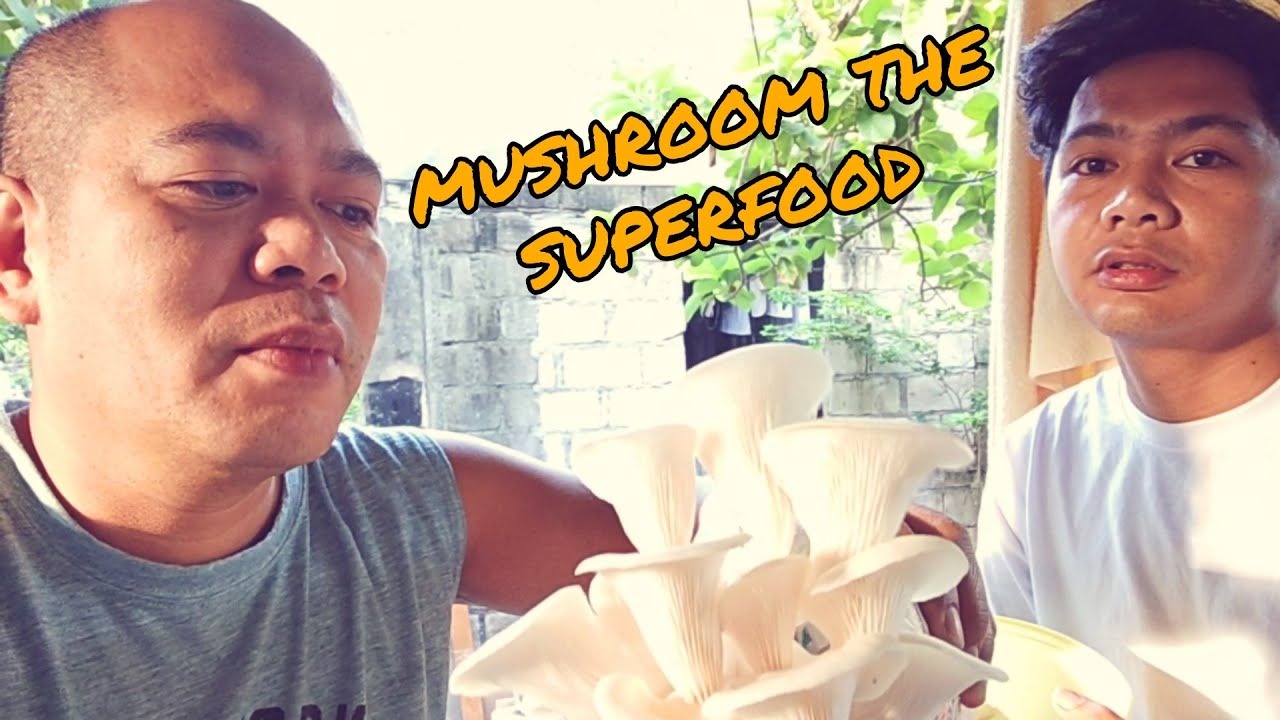MUSHROOM THE SUPERFOOD