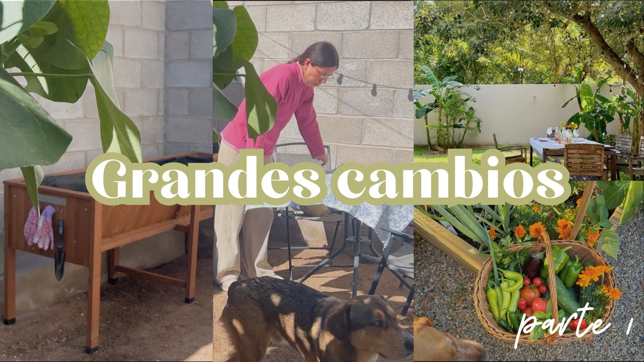 Antes y después de PATIO Gran CAMBIO con IDEAS sencillas y rápidas HUERTO en casa 🥕🥬 Garvee garden