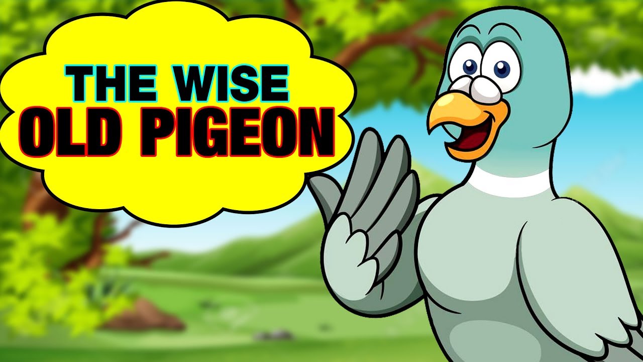The Wise Old Pigeon Kids Stories |  Moral Story For Kids | Animated Bedtime Stories | Simba Tv