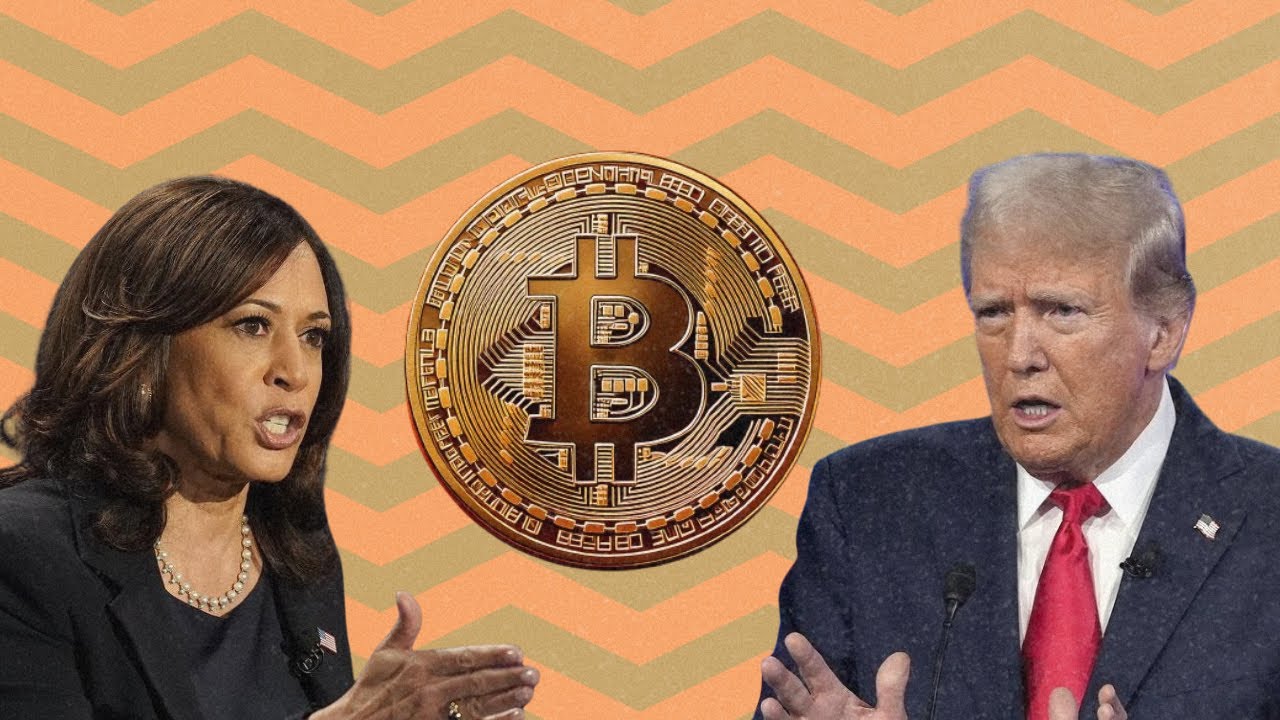 How the US Elections affect the Crypto Market!