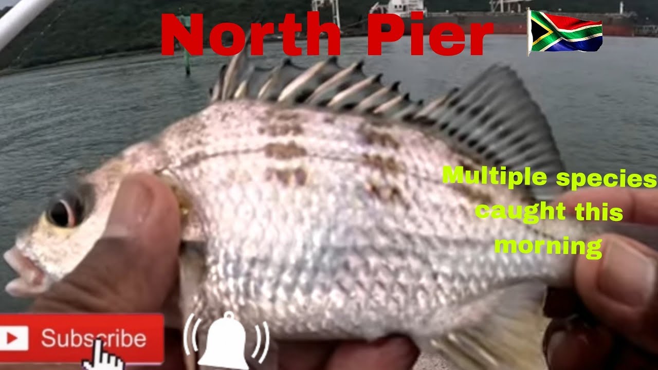 OFFROAD4LIFE, Fishing, North Pier, Durban, South Africa