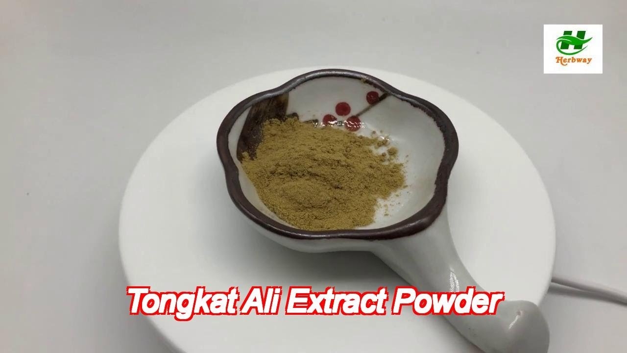 Longjack Extract Tongkat Ali Extract Powder Longjack Extract Eurycomanone Iso9001 Approved
