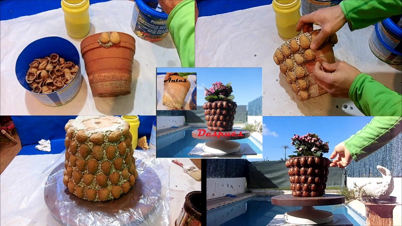 Adornar una maceta vieja con cascaras de nueces