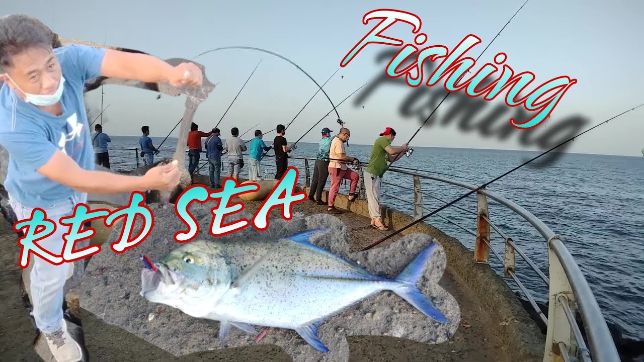 FISHING BLUEFIN TREVALLY AT RED SEA