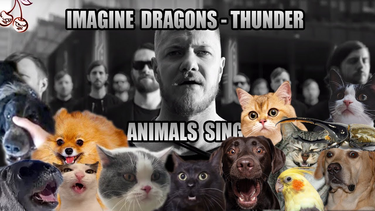 Imagine Dragons - Thunder (Animal Cover)