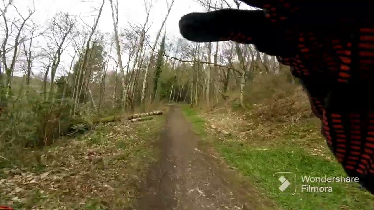 Mauldslie woods mtb trail showcase 